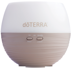 Diffuser Reinigung mit Anleitung