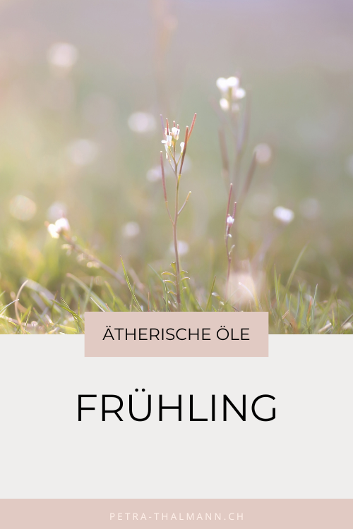 5 Wege, wie ätherische Öle dich im Frühling unterstützen